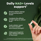 Suplemento NR900-NAD+ para el apoyo contra el envejecimiento cutáneo, energía y concentración (80 unidades) - Suplementos dietéticos de vitaminas y bienestar