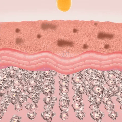 Éternelle Lumière Collagen Spot-Correction & Youth Renewal Collection